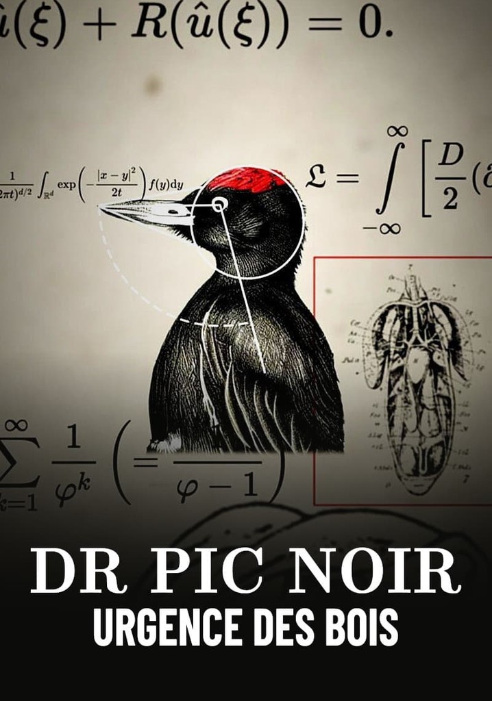 Dr Pic Noir, urgence des bois