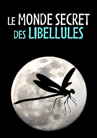 Le Monde secret des libellules