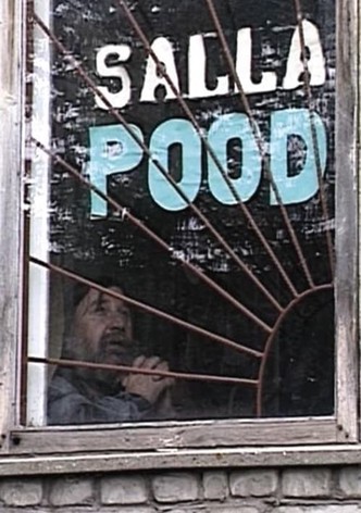 A View from the Mountain