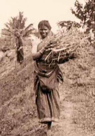 Edward Prince of Wales' Tour of India: Peshawar, The Khyber Pass and Rawl Pindi