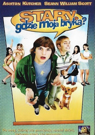 Stary, gdzie jest moja bryka?