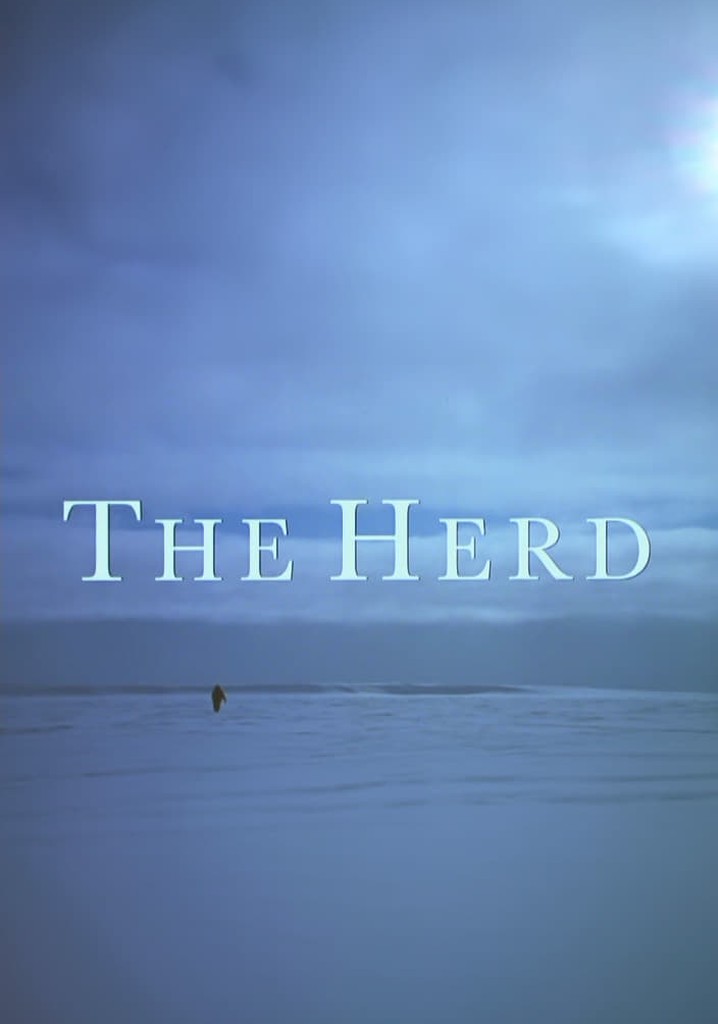 The Herd