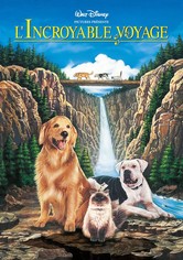 L'Incroyable Voyage