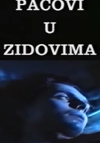 Pacovi u zidovima