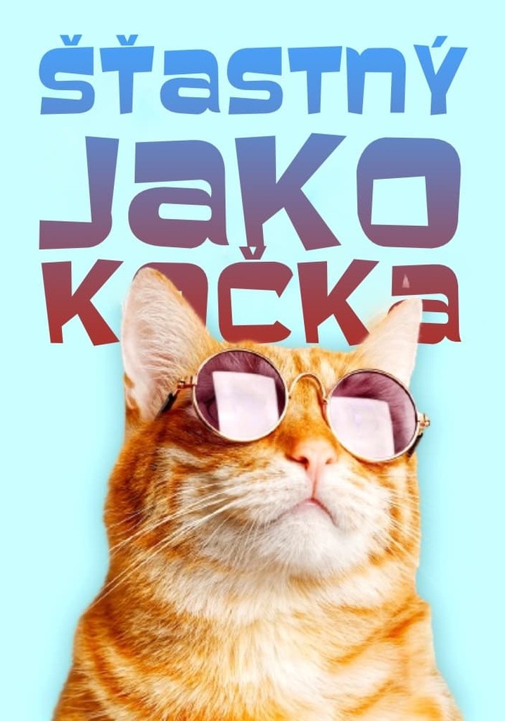 Heureux comme un chat