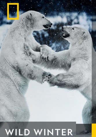 Wild Winter - Season 1