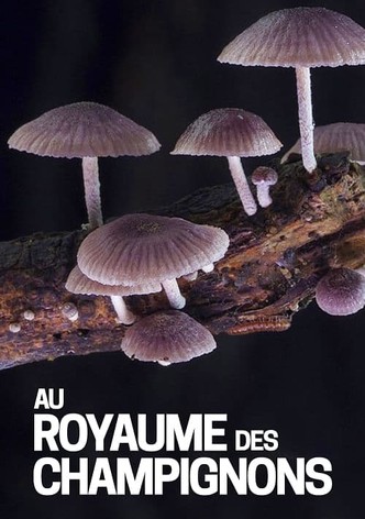 Au royaume des champignons