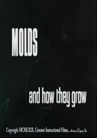 Molds and How They Grow