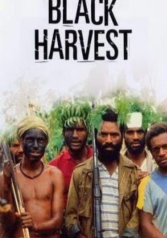 Black Harvest