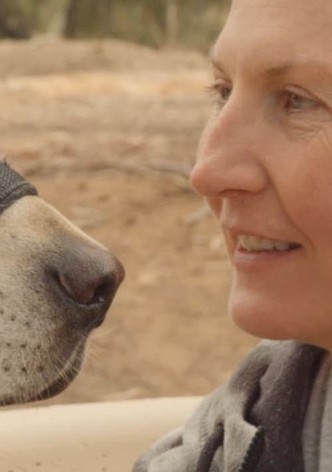 Thank You for Your Service