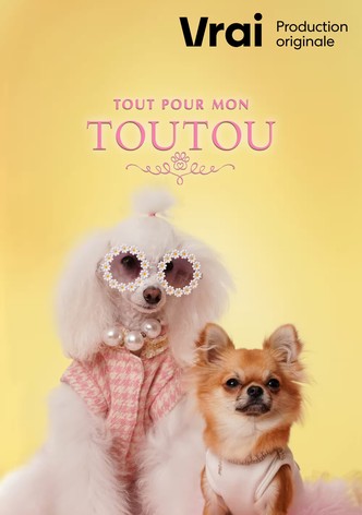 Tout pour mon toutou