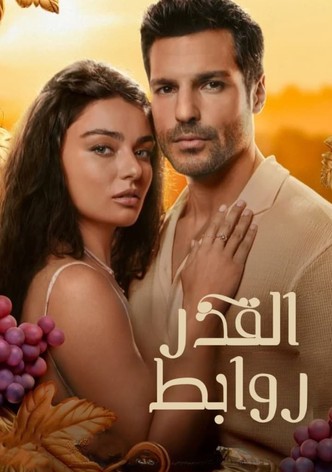 روابط القدر