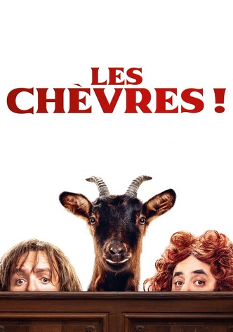 Les Chèvres!