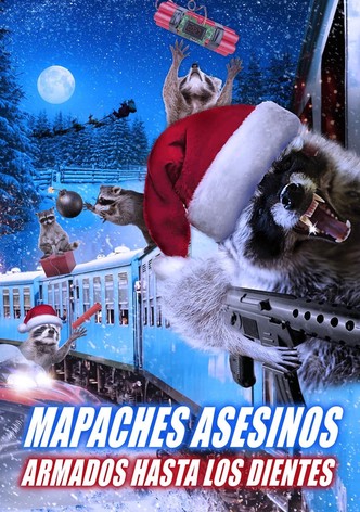 Mapaches asesinos: Armados hasta los dientes