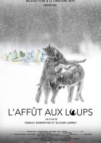 L'Affût aux loups