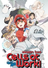 Cells at Work! - الموسم 2
