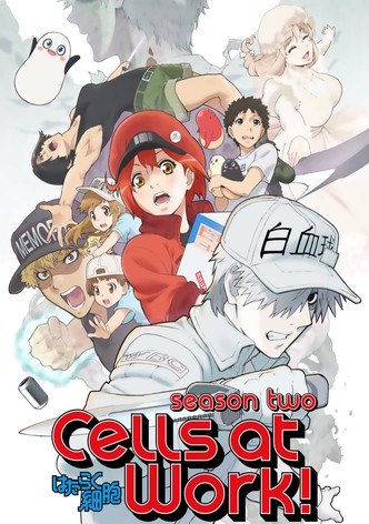 Cells at work!