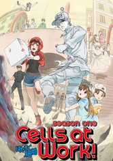 Cells at Work! - Cells at Work!