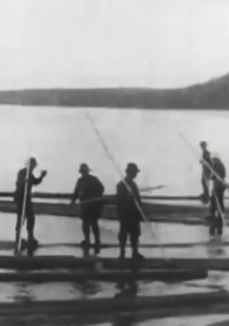 Logging in Maine