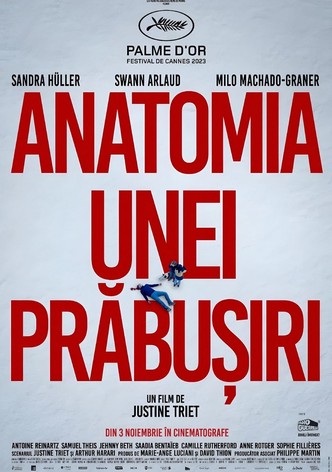Anatomia unei prăbușiri