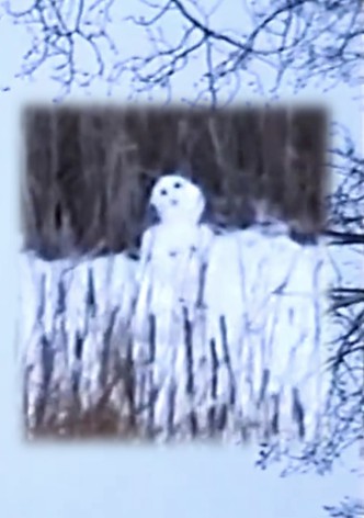 winter solstice