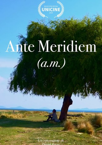 Ante Meridiem (a.m.)