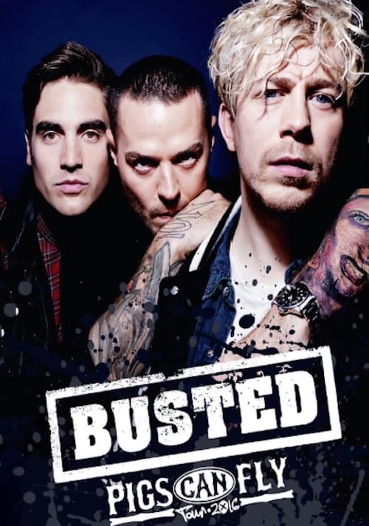Busted: Pigs Can Fly Tour 2016