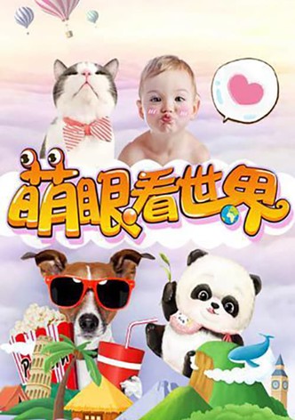 萌眼看世界