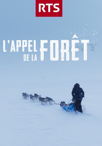 L'Appel de la forêt
