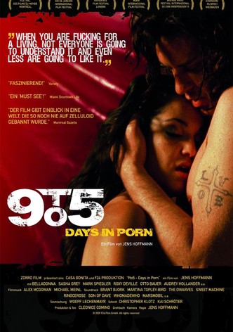 9to5: Days in Porn