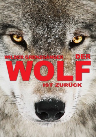 Wilder Grenzgänger - Der Wolf ist zurück