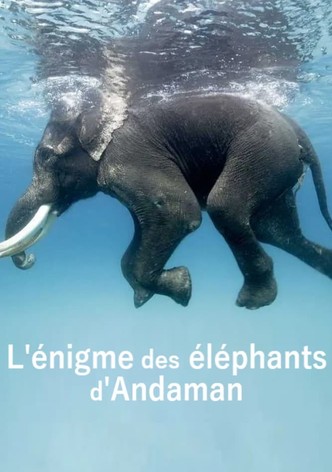 L'énigme des éléphants d'Andaman