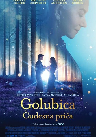 Golubica: Čudesna priča