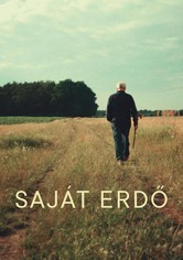 Saját erdő
