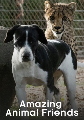 Straordinari amici animali