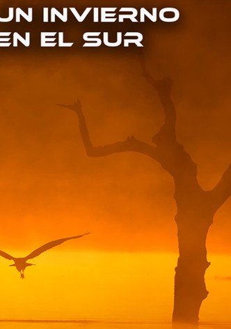 Un Invierno en el Sur