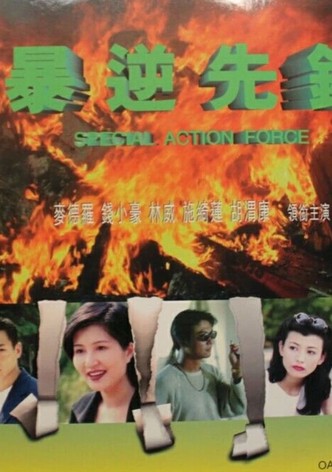 Special Action Force