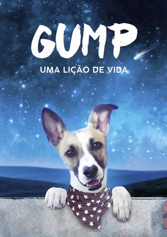 Gump - Uma Lição de Vida