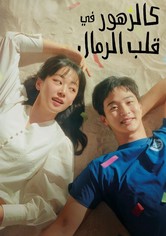 كالزهور في قلب الرمال