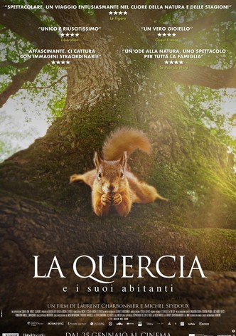 La quercia e i suoi abitanti