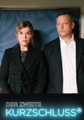 Der zweite Kurzschluss