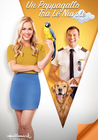 Un pappagallo tra le nuvole