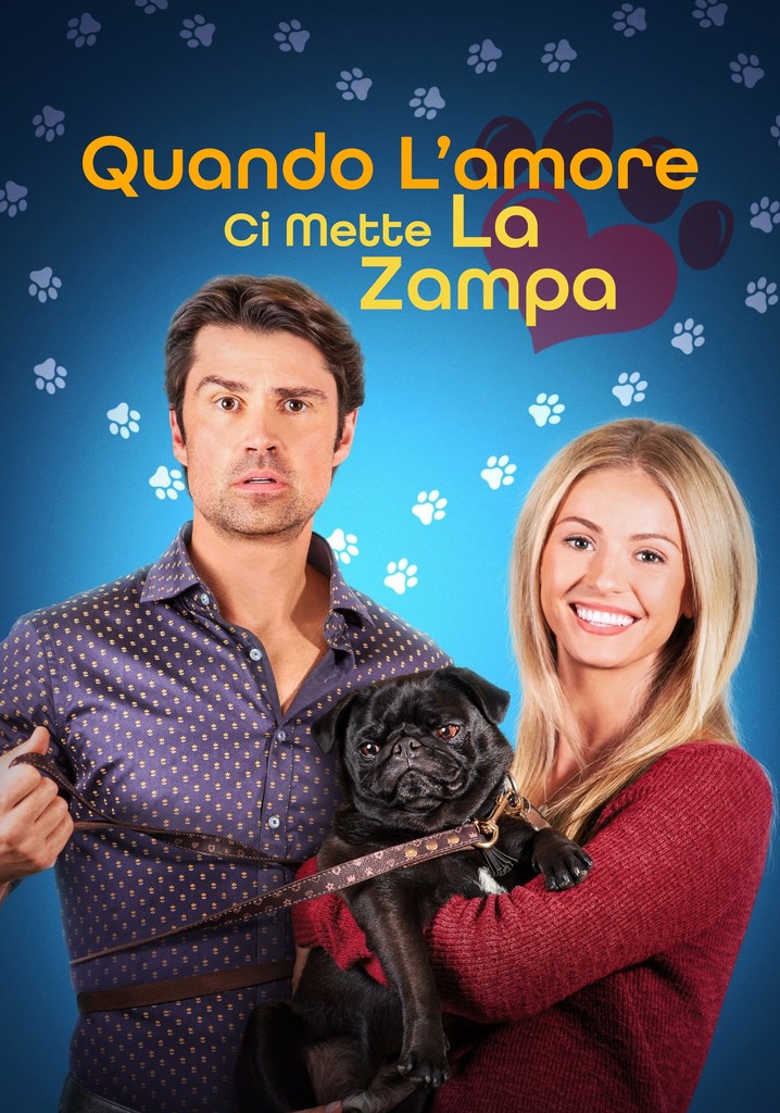 Quando l'amore ci mette la zampa