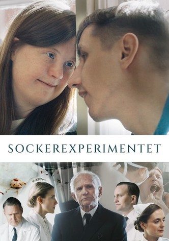 Sockerexperimentet