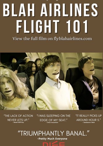 Blah Airlines Flight 101