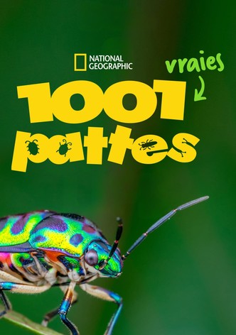 1001 vraies pattes