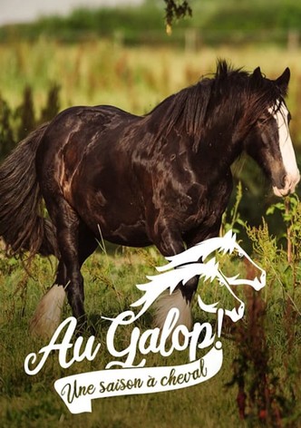 Au galop ! une saison à cheval