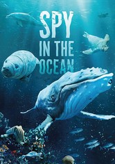 Spy in the Ocean