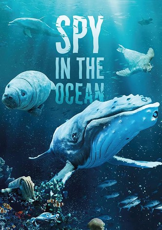 Spy in the Ocean