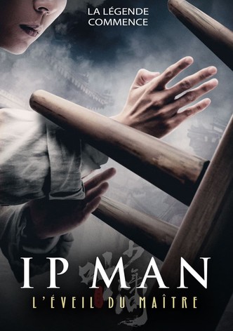 Ip Man : L'Éveil du Maître